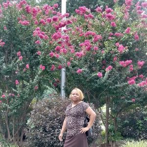 Meet your Posher, Elaudi